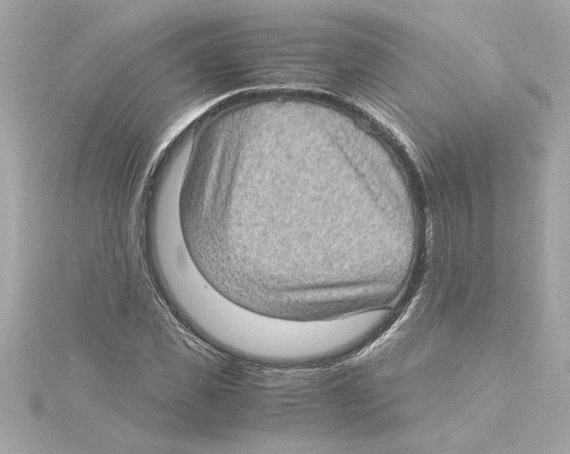 X0000115280925200911272003