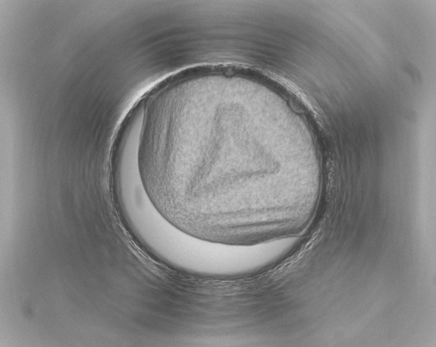 X0000115280927200911272004