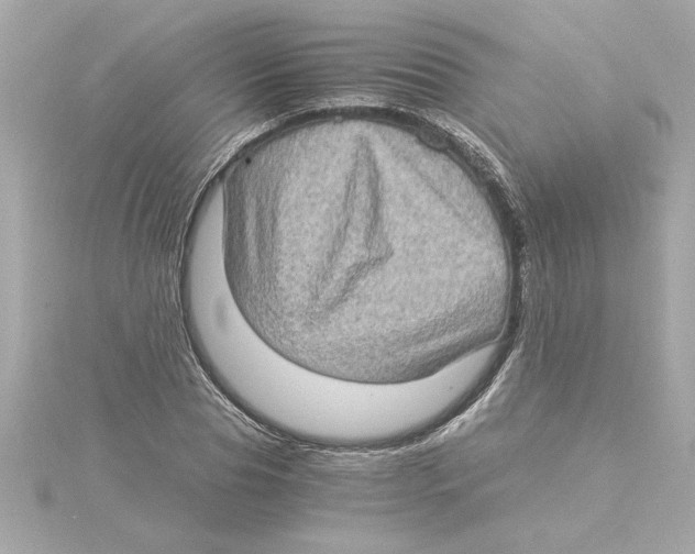 X0000115280929200911272004