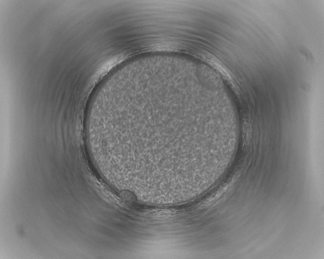 X0000115280930200911272004