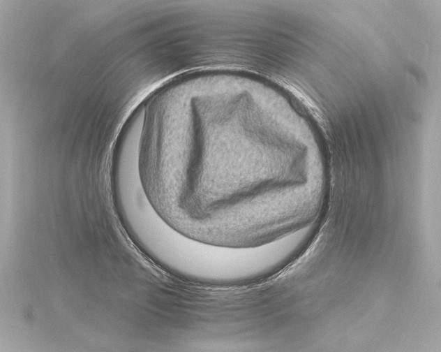 X0000115280933200911272004