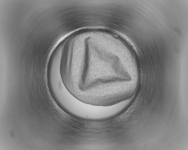 X0000115280935200911272004