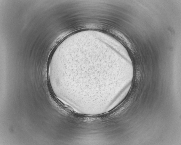 X0000115280938200911272004