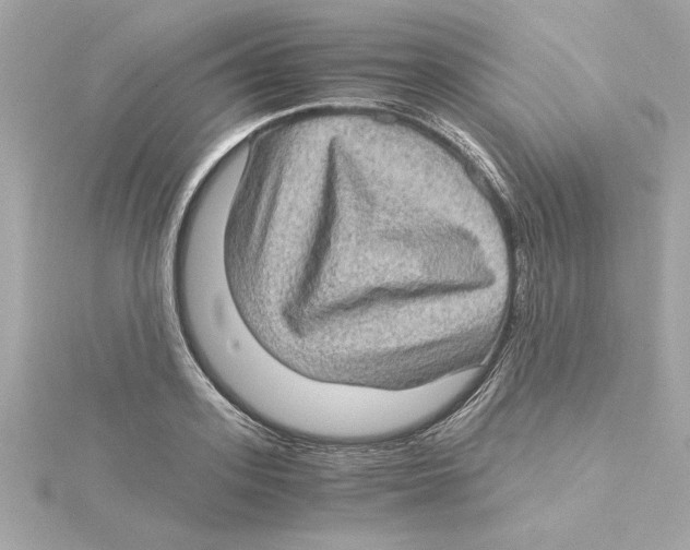 X0000115280939200911272004