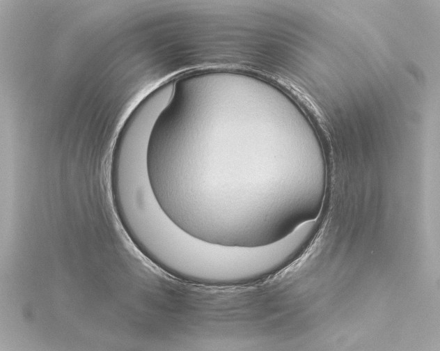 X0000115280941200911272004