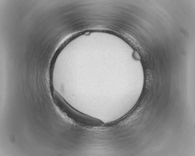 X0000115280942200911272004