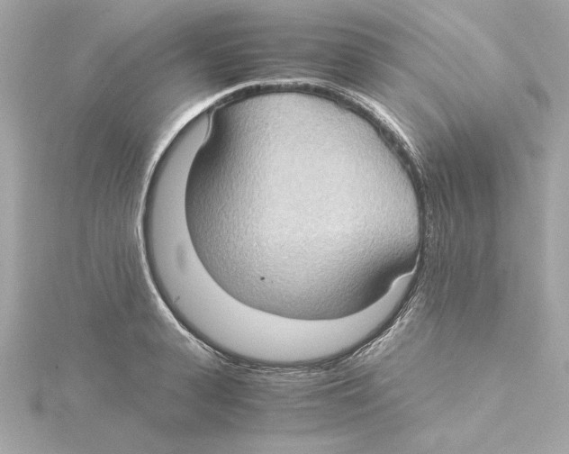 X0000115280943200911272004