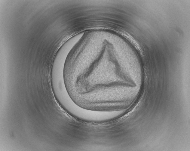 X0000115280945200911272004