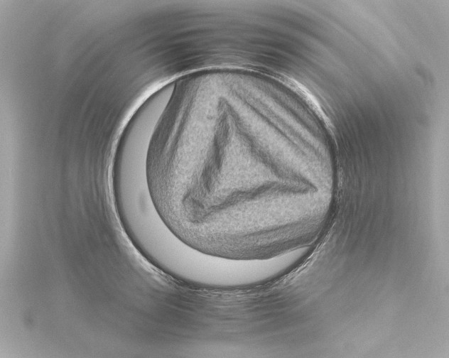 X0000115280947200911272004