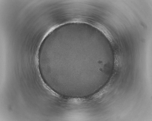 X0000115280950200911272004