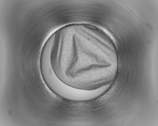 X0000115280951200911272004