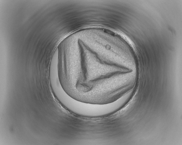 X0000115280953200911272004