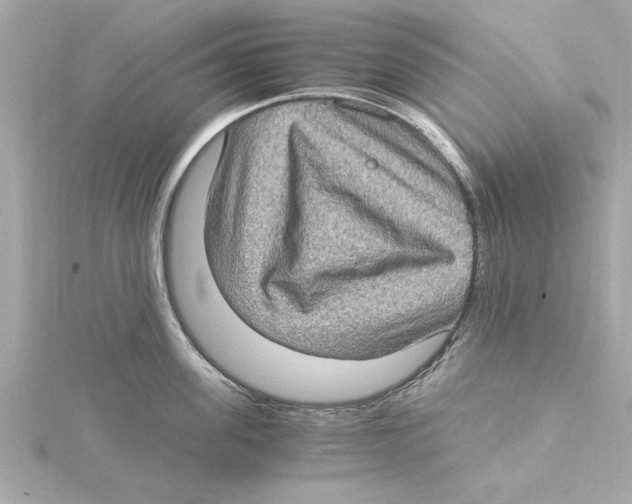 X0000115280955200911272004