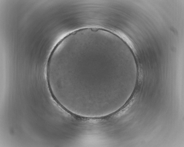 X0000115280958200911272004