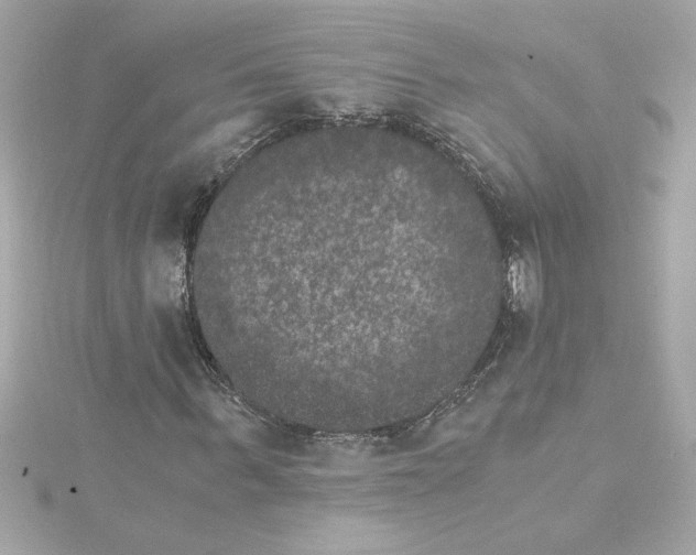 X0000115280963200911272003