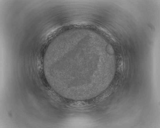 X0000115280966200911272003