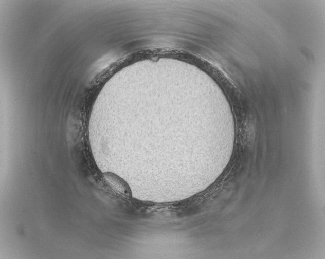 X0000115280967200911272003