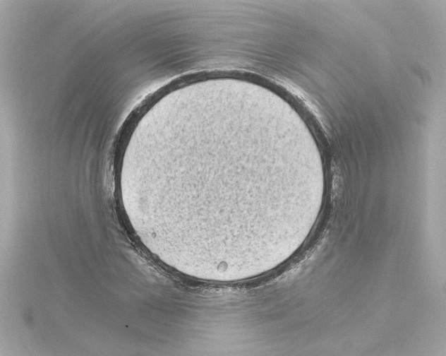 X0000115280973200911272003