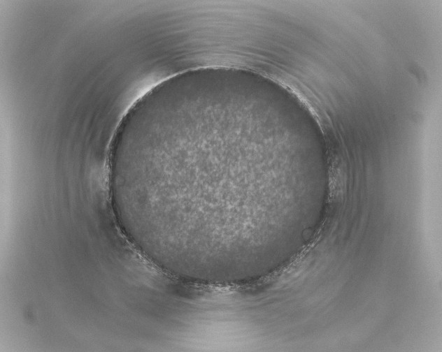 X0000115280975200911272003