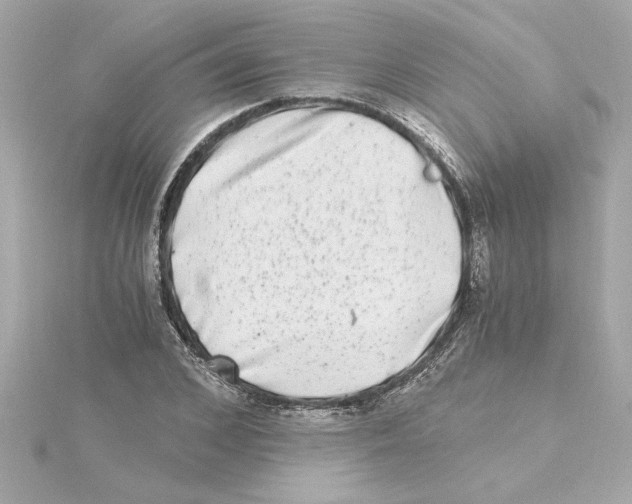 X0000115280976200911272003