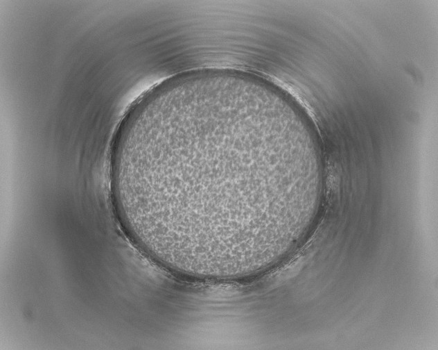 X0000115280979200911272003