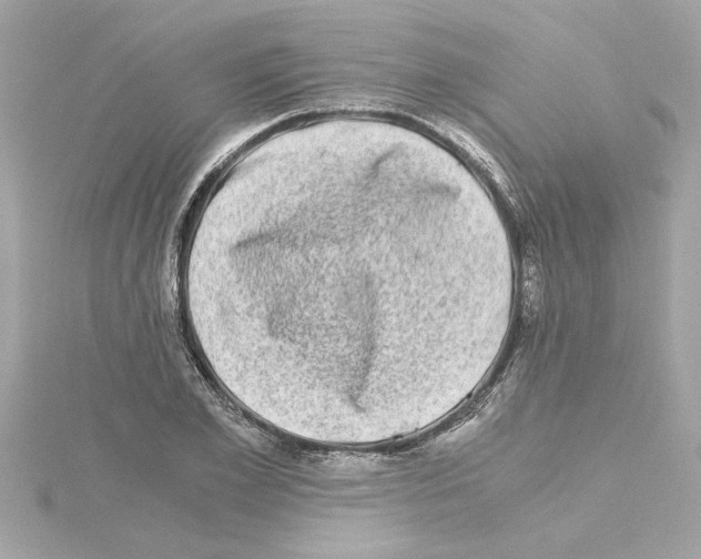 X0000115280981200911272003