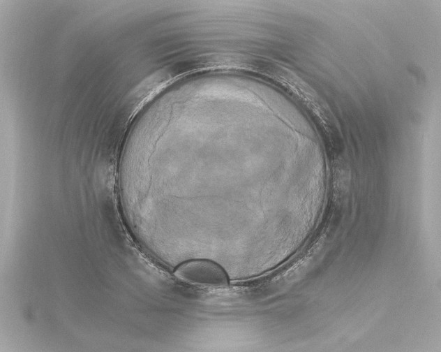 X0000115280985200911272003