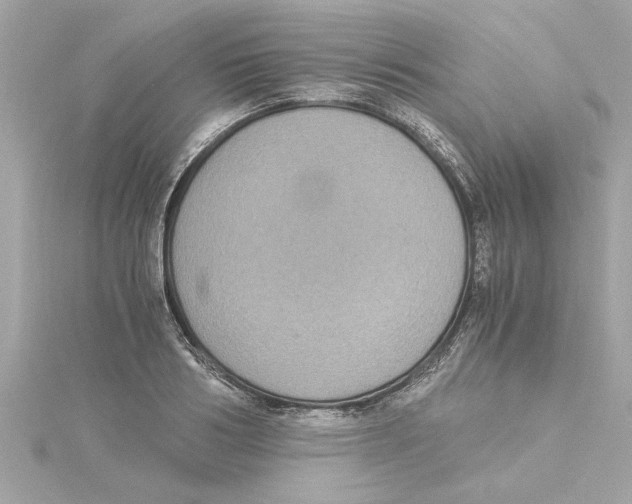 X0000115280986200911272003