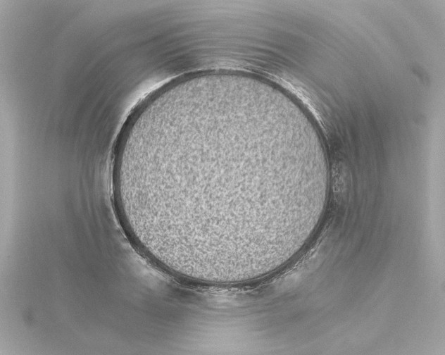 X0000115280987200911272003