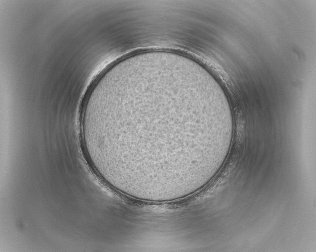 X0000115280990200911272003