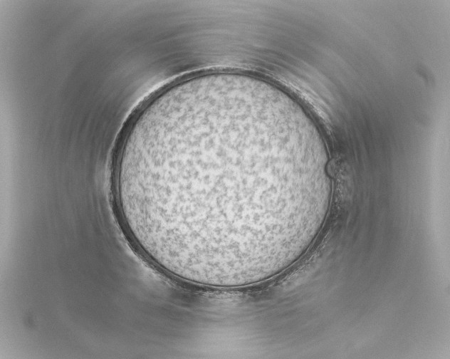 X0000115280991200911272003