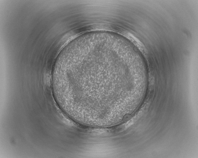 X0000115280993200911272003