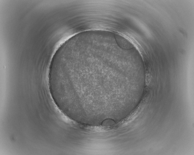 X0000115280995200911272003