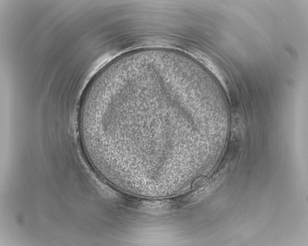 X0000115280997200911272003