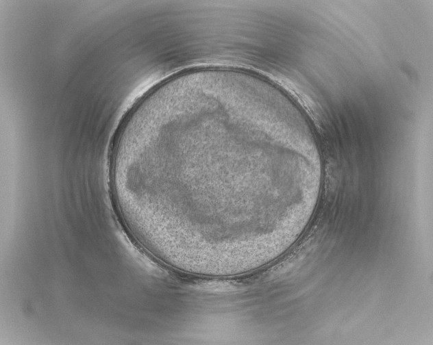 X0000115280998200911272003