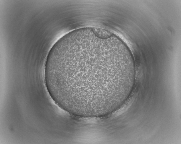 X0000115280999200911272003