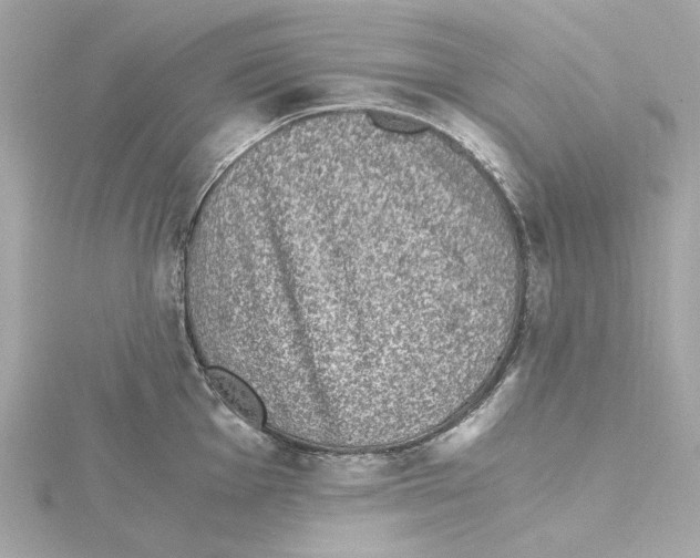 X0000115281001200911272003