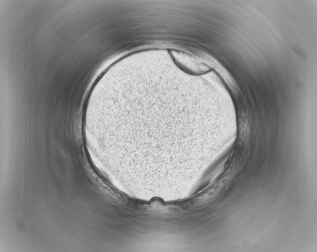 X0000115281004200911272003