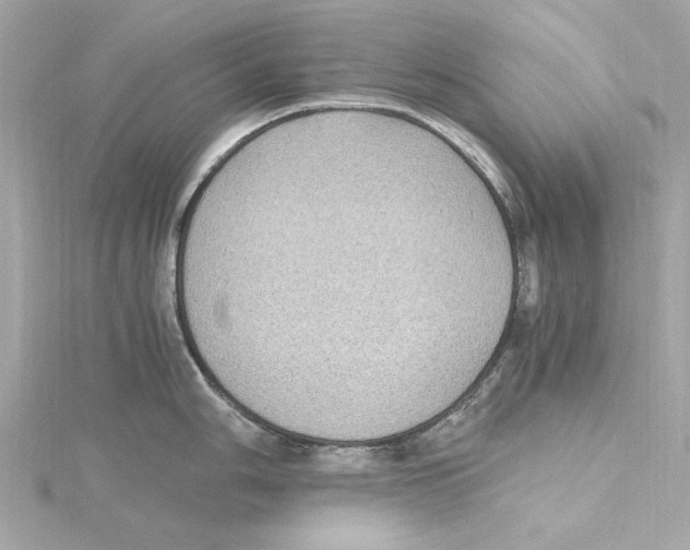 X0000115281006200911272003