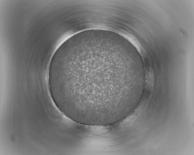 X0000115281007200911272003