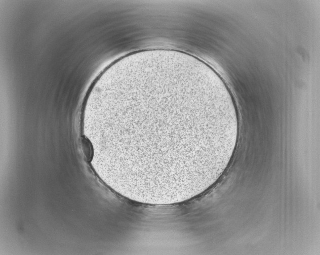 X0000115281008200911272003