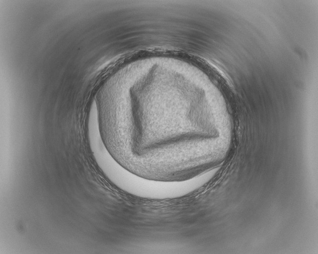 X0000115281015200911272002