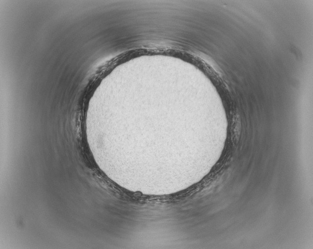 X0000115281016200911272002