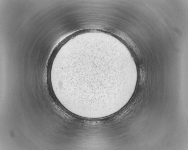 X0000115281020200911272002