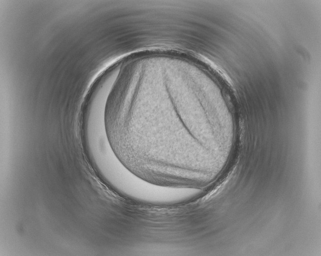 X0000115281021200911272002