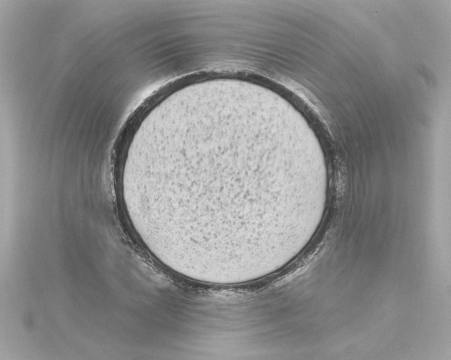 X0000115281022200911272002