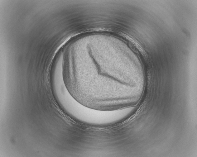 X0000115281023200911272002