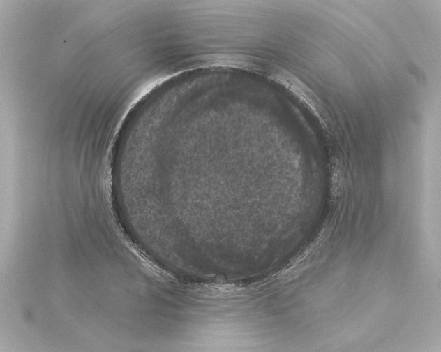 X0000115281024200911272002