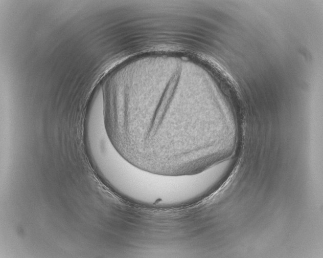 X0000115281025200911272002