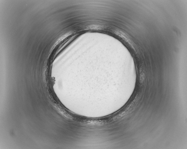 X0000115281026200911272002